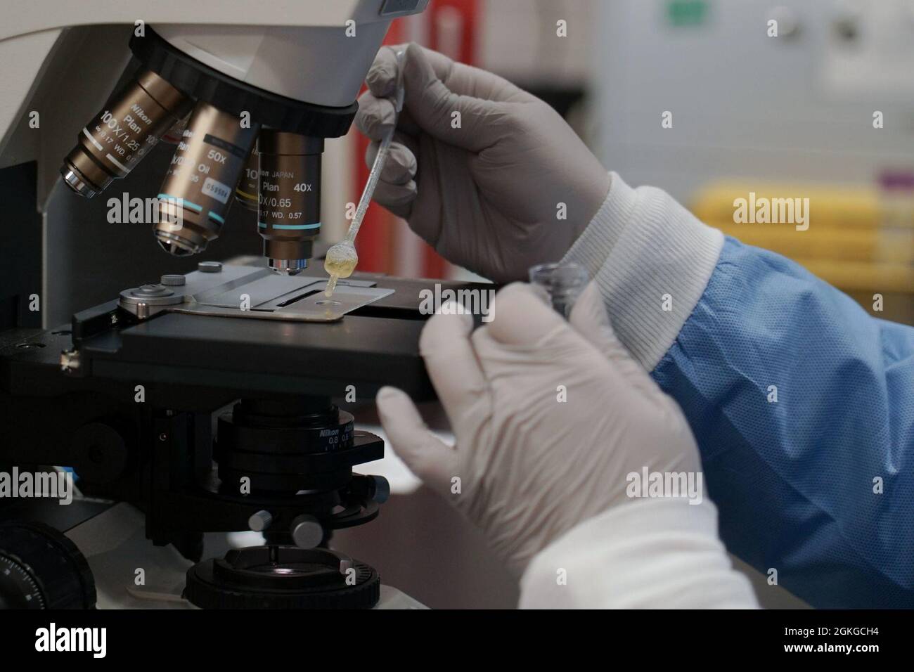 A laboratory technician from the 319th Medical Group tests a sample