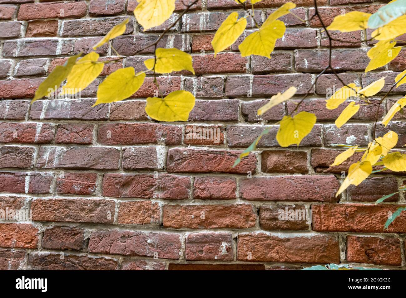 old brick and concrete textured wall Stock Photo