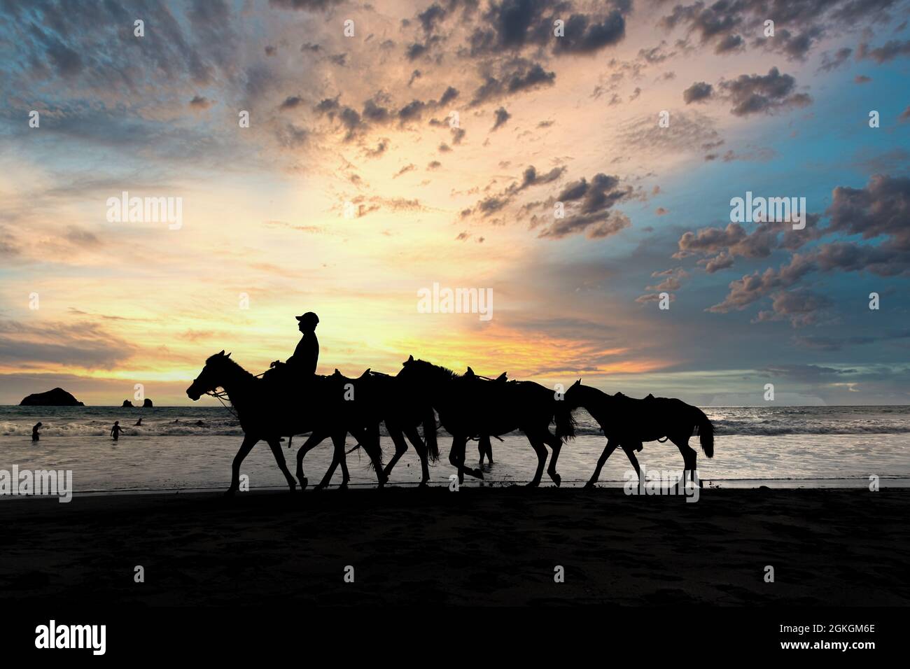 Person riding a horse along the beach hi-res stock photography and ...