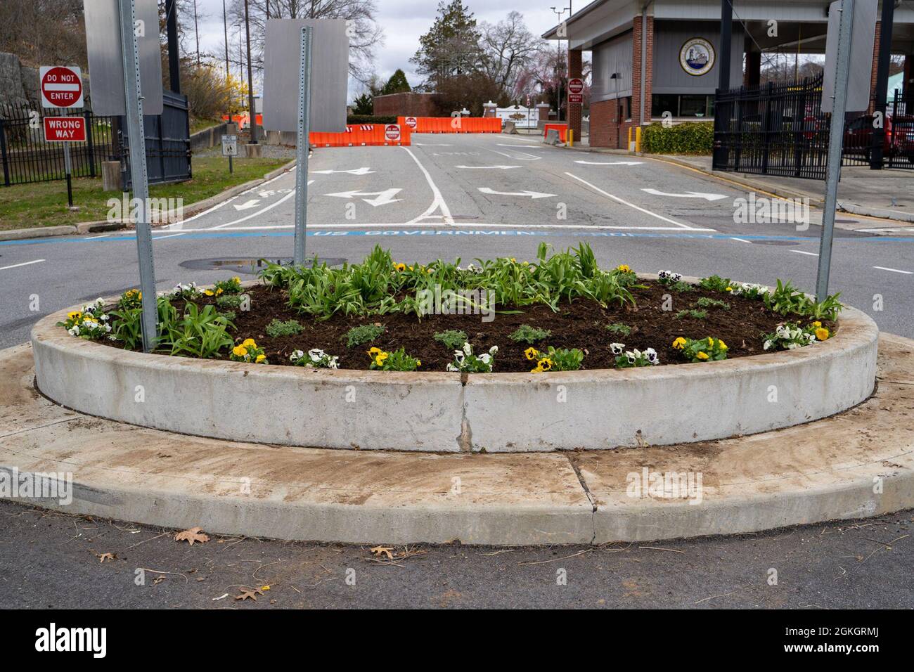 210417-N-EJ843-0046 GROTON, Conn. (April 17, 2021) A few volunteers started a beautification project on base and planted flowers at the garden island bed outside of Naval Submarine Base (SUBASE) New London. These plants are low maintenance and will take likely take care of themselves over the course of time. Stock Photo