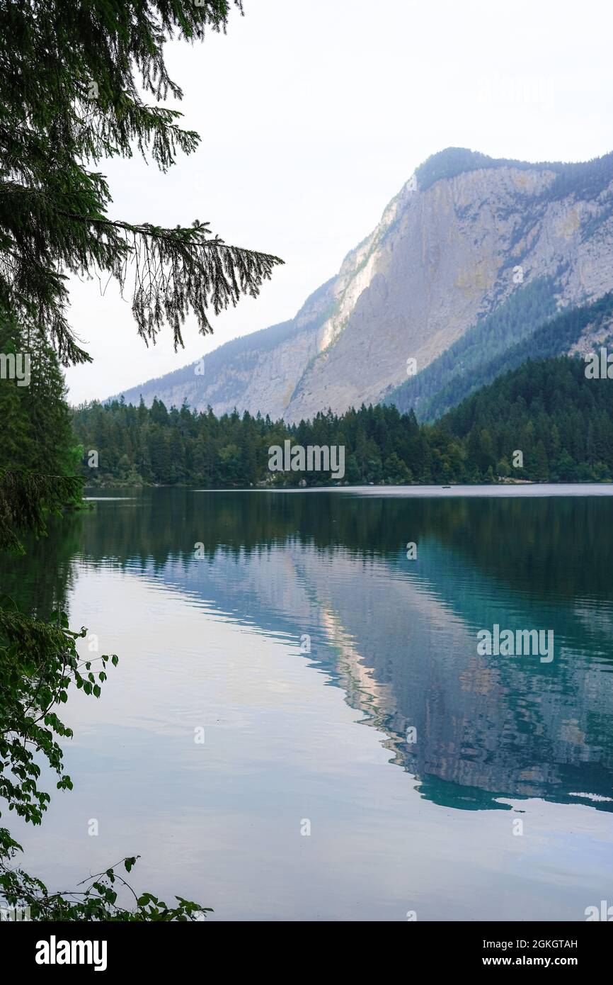 Mesmerizing view of a calm lake surrounded by trees with reflection ...