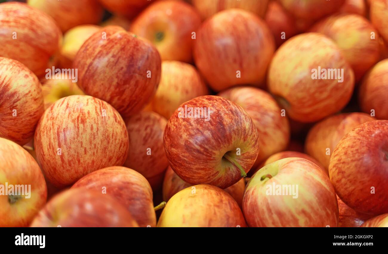 Close-up view of organic red apples in supermarket., Stock image