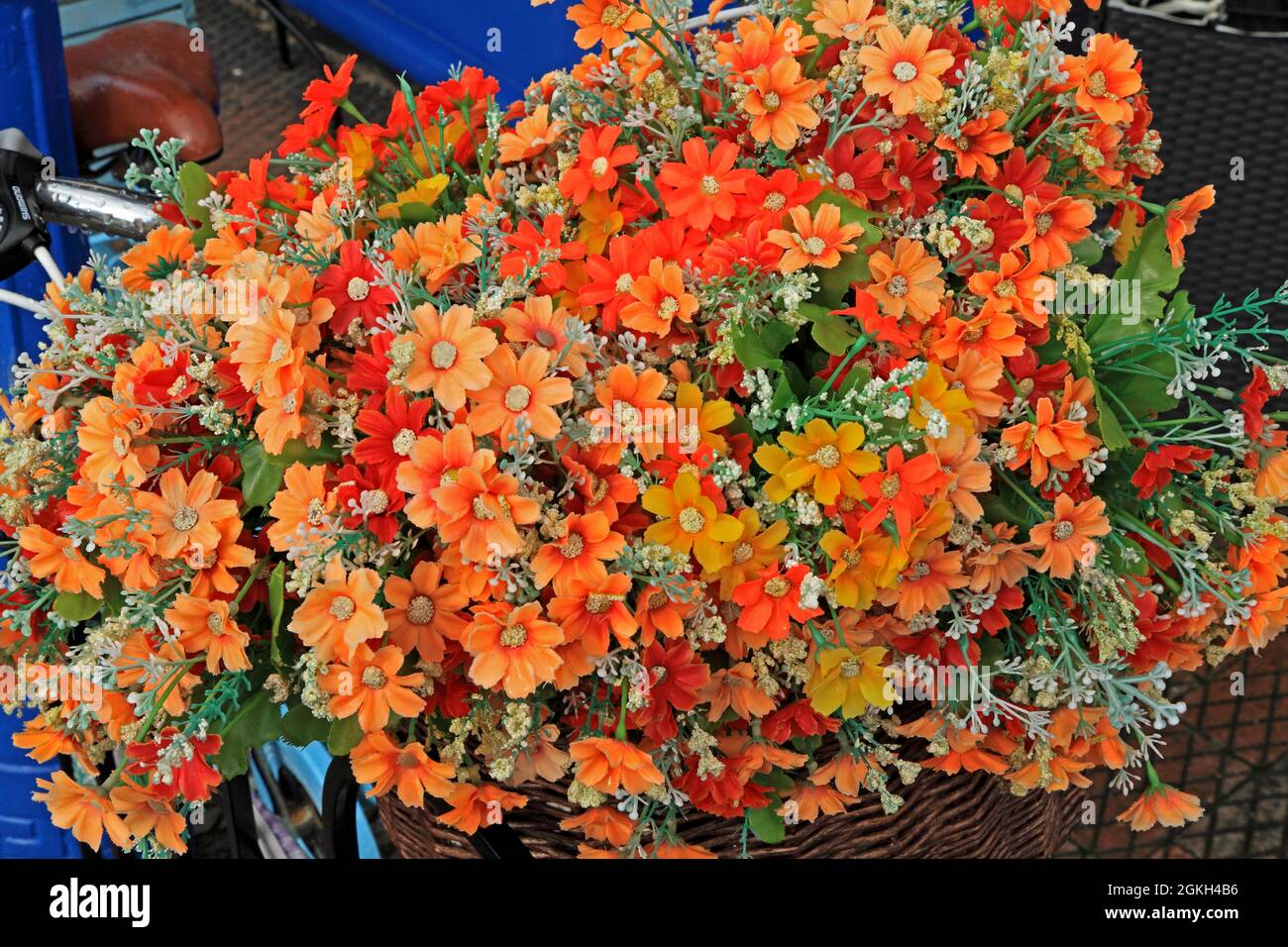 Bicycle front basket, flowers,plant container Stock Photo