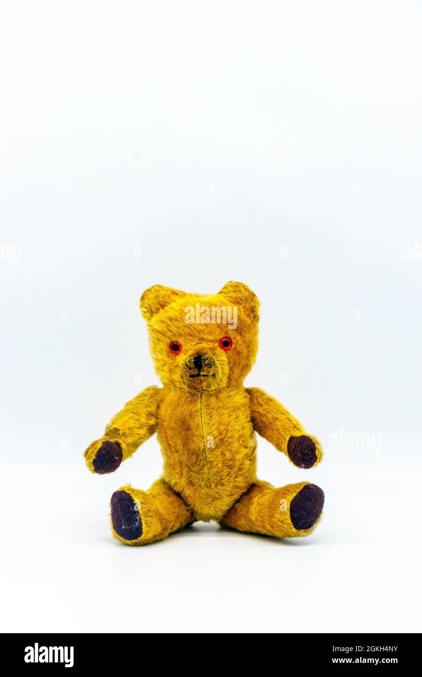 old 1960s teddy bear on white studio background Stock Photo