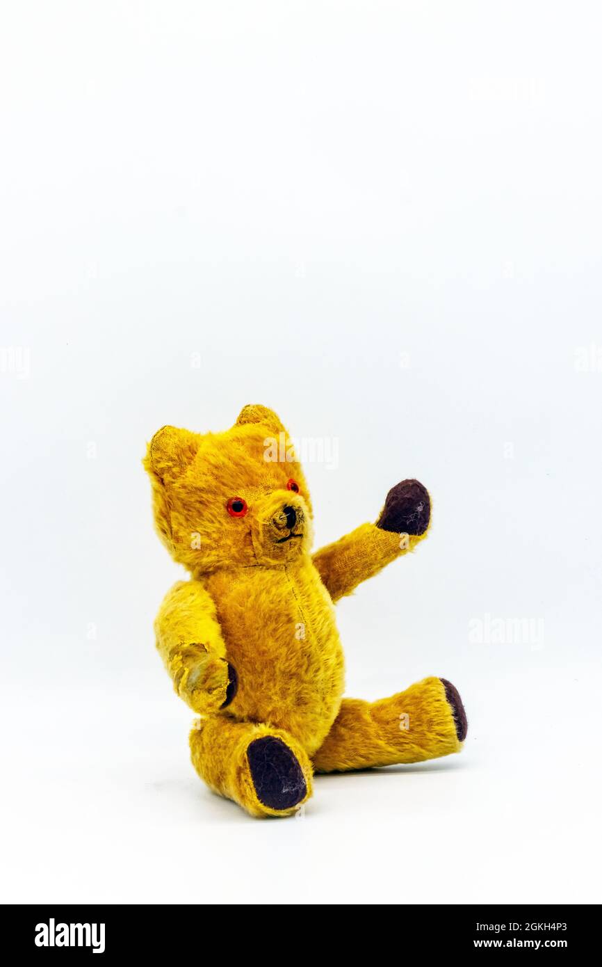 old 1960s teddy bear on white studio background Stock Photo