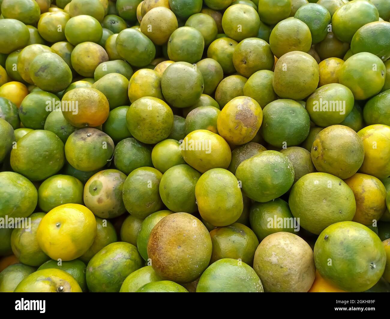 Closeup of ripe limes in a container under the lights Stock Photo - Alamy