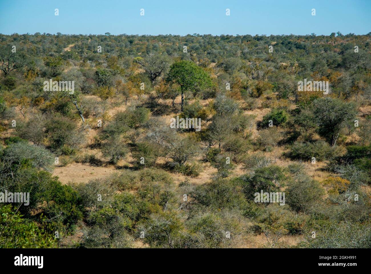 0319　THE SOUTHERN AFRICAN ENVIRONMENT A network to understand the changing socio‐ecology of the