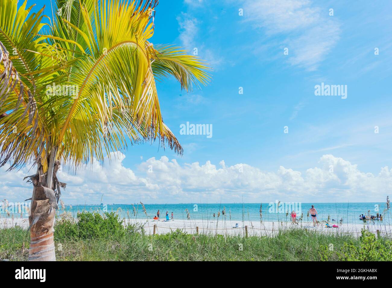 Beach, Sanibel Island, Florida, USA Stock Photo Alamy