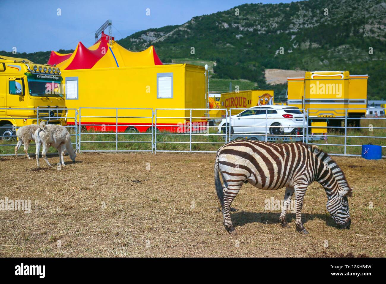 France, Soyons, 2021-06-27. An itinerant circus is set up on a vacant lot on the edge of a roundabout and a main road. Wild animals are parked on the Stock Photo