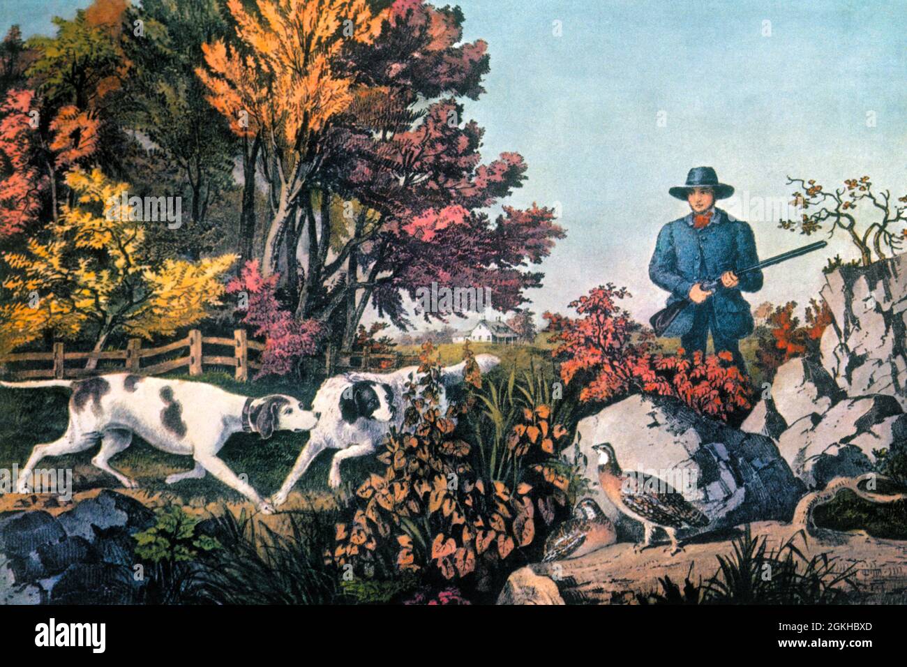 1850s MAN HUNTER WITH FOWLING PIECE WITH TWO DOGS POINTING TWO PARTRIDGES GAME BIRD SHOOTING CURRIER & IVES LITHOGRAPH 1855 - ka6495 LAN001 HARS COPY SPACE FULL-LENGTH PHYSICAL FITNESS PERSONS UNITED STATES OF AMERICA HEAVY MALES HUNTER HUNT NORTH AMERICA NORTH AMERICAN WING HAPPINESS MAMMALS ADVENTURE PERCUSSION AND CANINES EXCITEMENT RECREATION FALL SEASON OPPORTUNITY FLINTLOCK LITHOGRAPH POOCH 1855 CONCEPTUAL CHICKENS ESCAPE STYLISH TURKEYS VERTEBRATE WARM-BLOODED CURRIER & IVES CURRIER AND IVES PHEASANTS QUARRY 1850s CANINE CURRIER FEATHERED FIREARM FIREARMS HUNTERS IVES MAMMAL NEST Stock Photo
