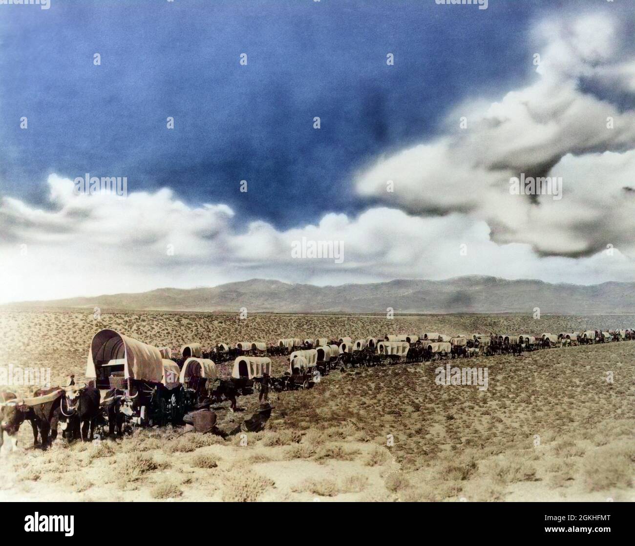 1870s 1880s MONTAGE OF LONG LINES OF COVERED WESTERN LAND SETTLERS AND IMMIGRANT WAGONS CROSSING THE AMERICAN PLAINS - q37967c CPC001 HARS GOALS PIONEER CATTLE COVERED DREAMS RUSTIC WILD WEST ADVENTURE CANVAS DISCOVERY YOKE MIGRATION COMPOSITE EXCITEMENT EXTERIOR FRONTIER LEADERSHIP PROGRESS NEW BEGINNING PRAIRIE DIRECTION CONESTOGA IN OPPORTUNITY EMIGRATE OXEN WAGON TRAIN PROCESSION MIGRATING 1870s 1880s DAYTIME ESCAPE IMMIGRATION ROUTE CONESTOGA WAGON IN LINE WESTWARD PANORAMIC DAYLIGHT EXPLORE HERD HOMESTEADER MOVIE STILL OX SETTLER SETTLERS TOGETHERNESS WESTWARD HO BEGINNING ENDLESS Stock Photo