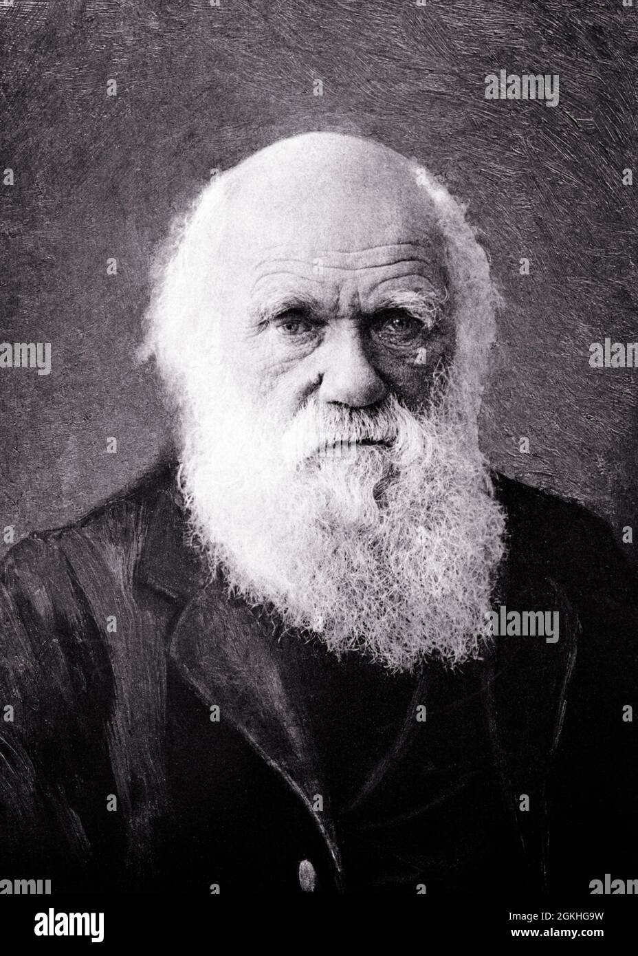 1880s PORTRAIT OF ELDERLY CHARLES DARWIN ENGLISH NATURALIST GEOLOGIST AND BIOLOGIST KNOWN FOR THEORIES OF SCIENCE OF EVOLUTION - q64177 CPC001 HARS KNOWLEDGE LEADERSHIP POWERFUL PRIDE AUTHORITY OCCUPATIONS CONCEPTUAL 1880s THEORY BIOLOGIST ELDERLY MAN CHARLES GEOLOGIST IDEAS PRECISION WILDLIFE BLACK AND WHITE KNOWN NATURALIST OLD FASHIONED Stock Photo