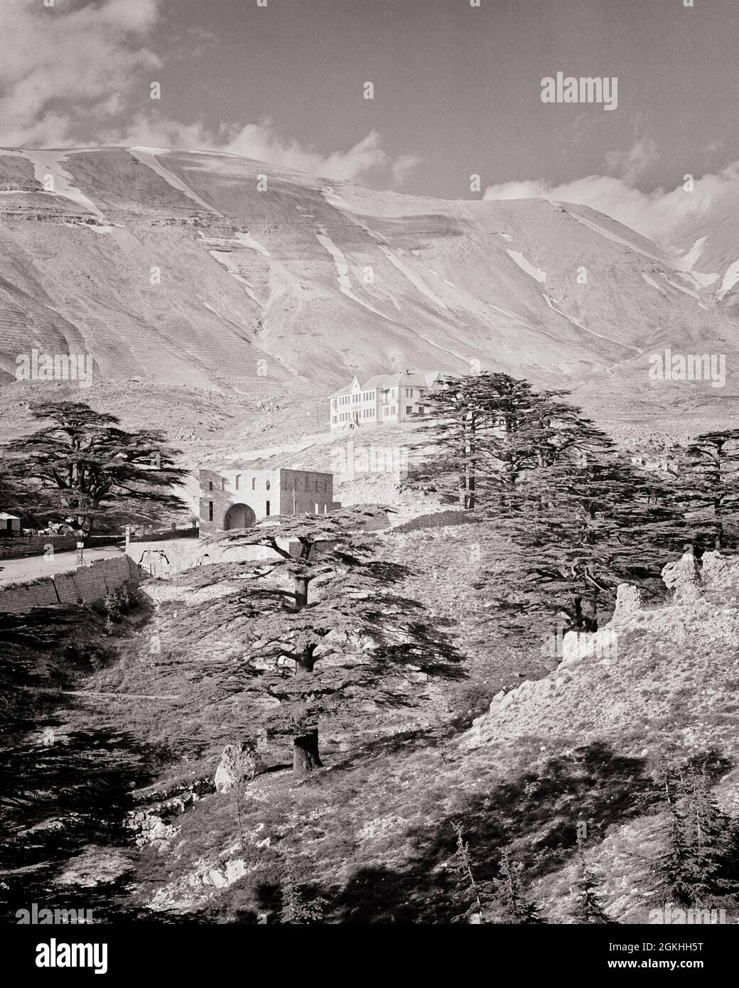 1950s 1960s HISTORIC CEDARS OF LEBANON IN KADISHA VALLEY KNOWN FOR MANY MONASTERIES CEDAR TREES OFTEN CALLED THE CEDARS OF GOD - r3151 HAR001 HARS ENDURING LEBANON NATIONAL EMBLEM BELIEF BLACK AND WHITE CONIFER ENDANGERED HAR001 KNOWN MIDDLE EAST OLD FASHIONED REPRESENTATION Stock Photo