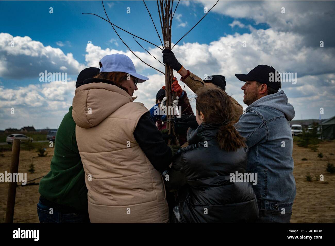 Locals in the Lviv Oblast Ukraine tie trees together as part of a tree planting project with the JMTG-U Stock Photo