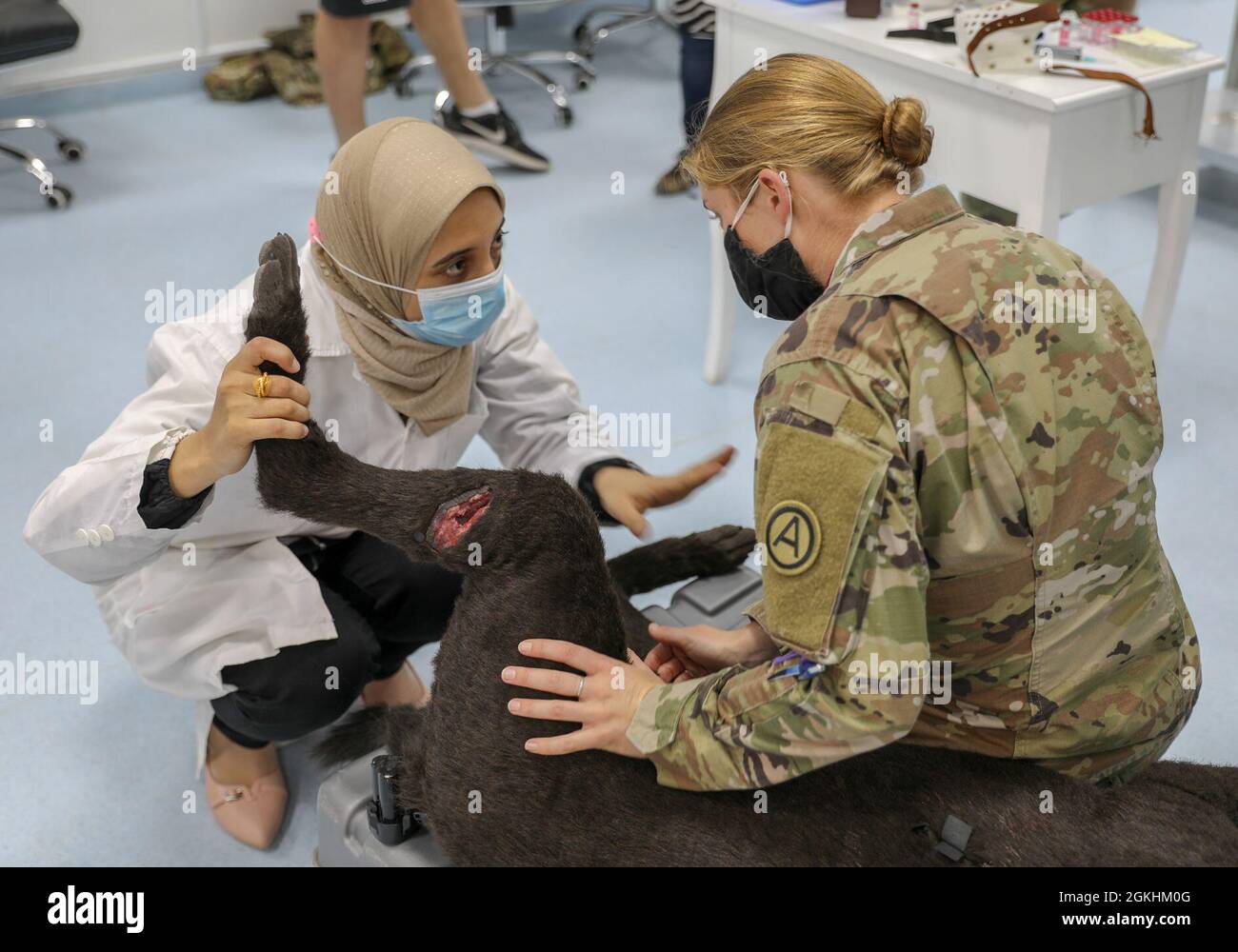 Capt. Emrick Whitfield, a veterinarian with Area Support Group - Kuwait and  Aliaa Ali Esmail Eladely, a veterinarian at Fahahil Clinic discuss canine  surgical procedures at Royal Animal Hospital in Kuwait City,