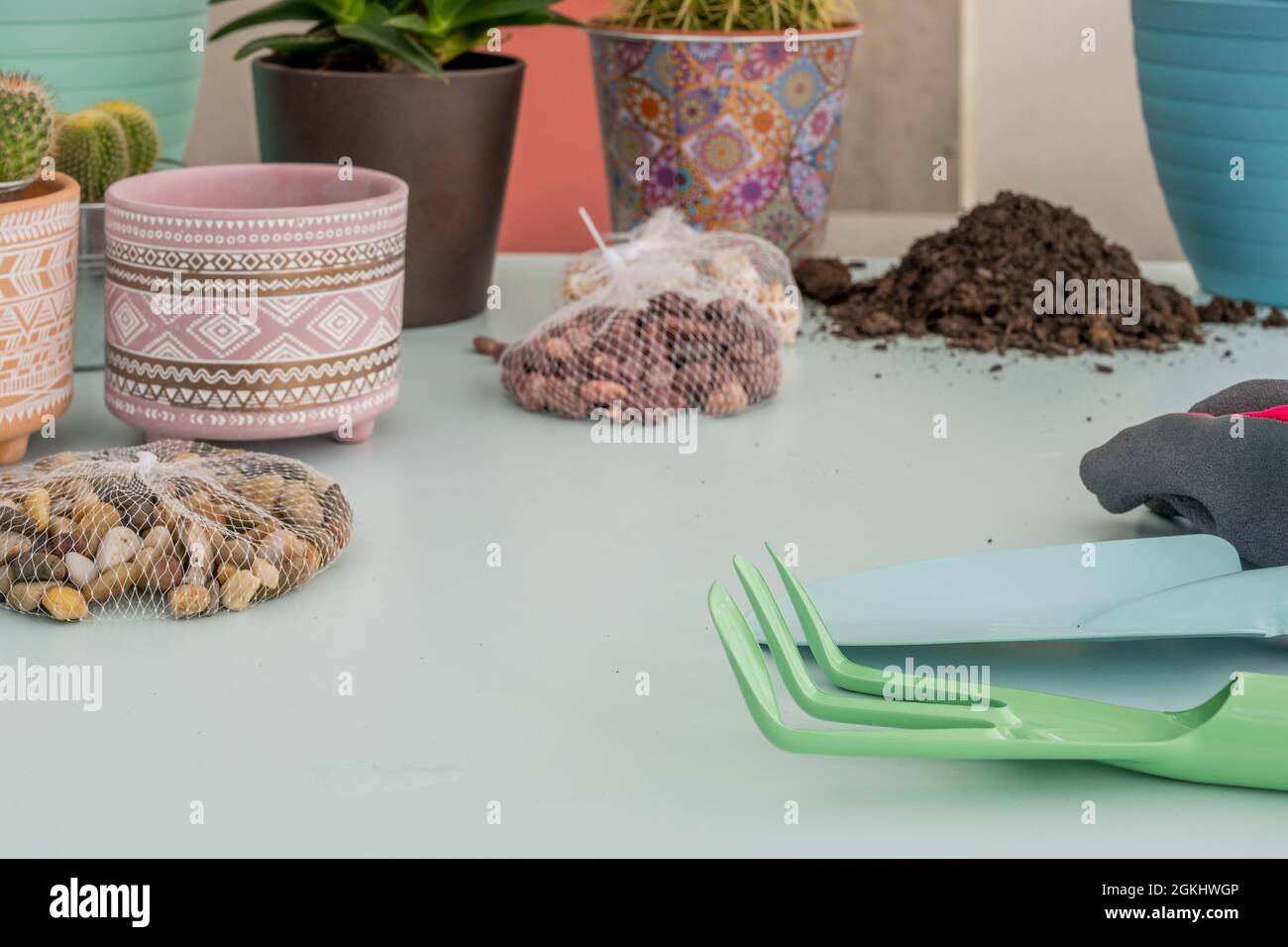 table with gardening tools and cacti with new pots to transplant with