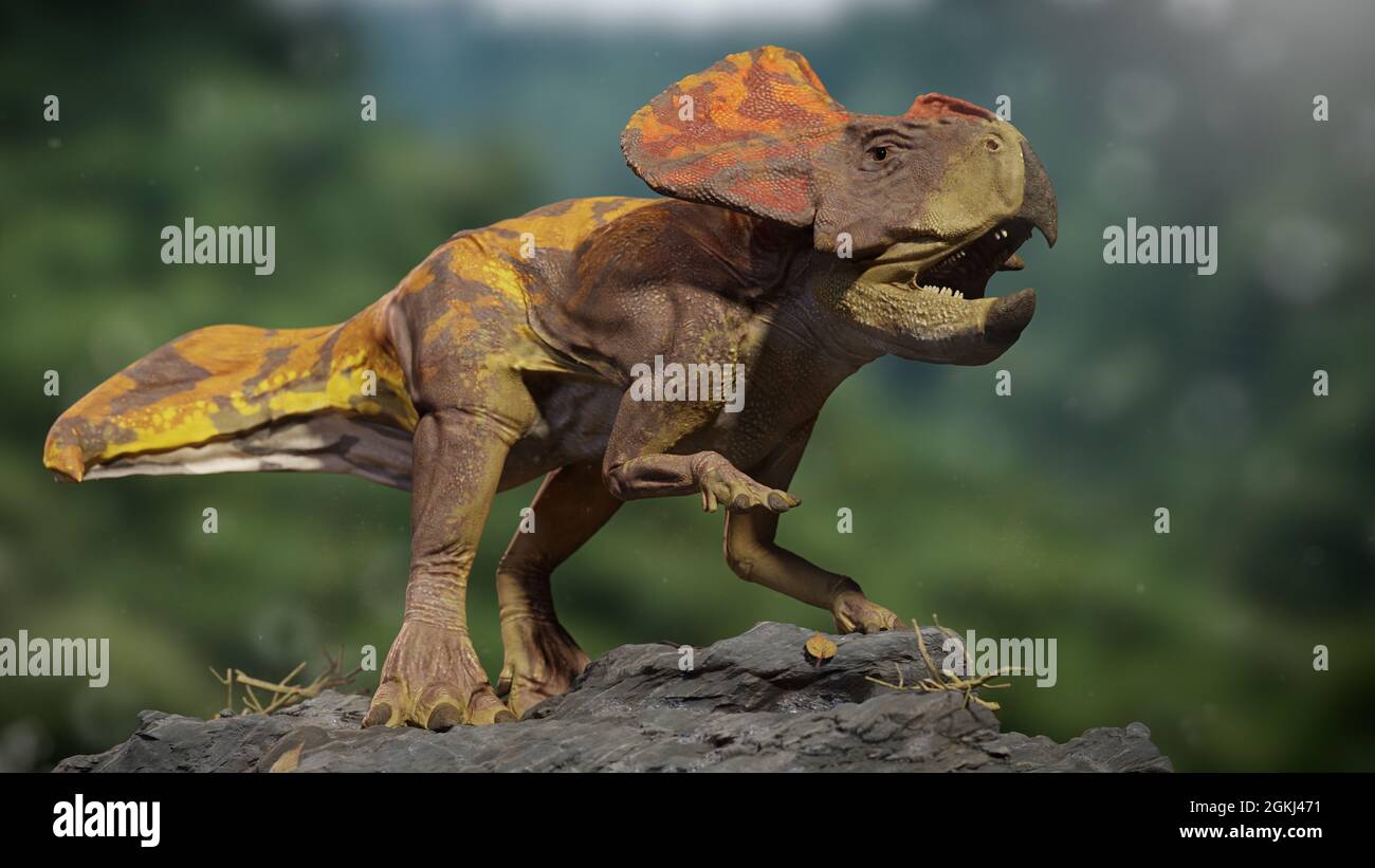 Protoceratops, dinosaur from the Late Cretaceous period, 3d paleoart render Stock Photo