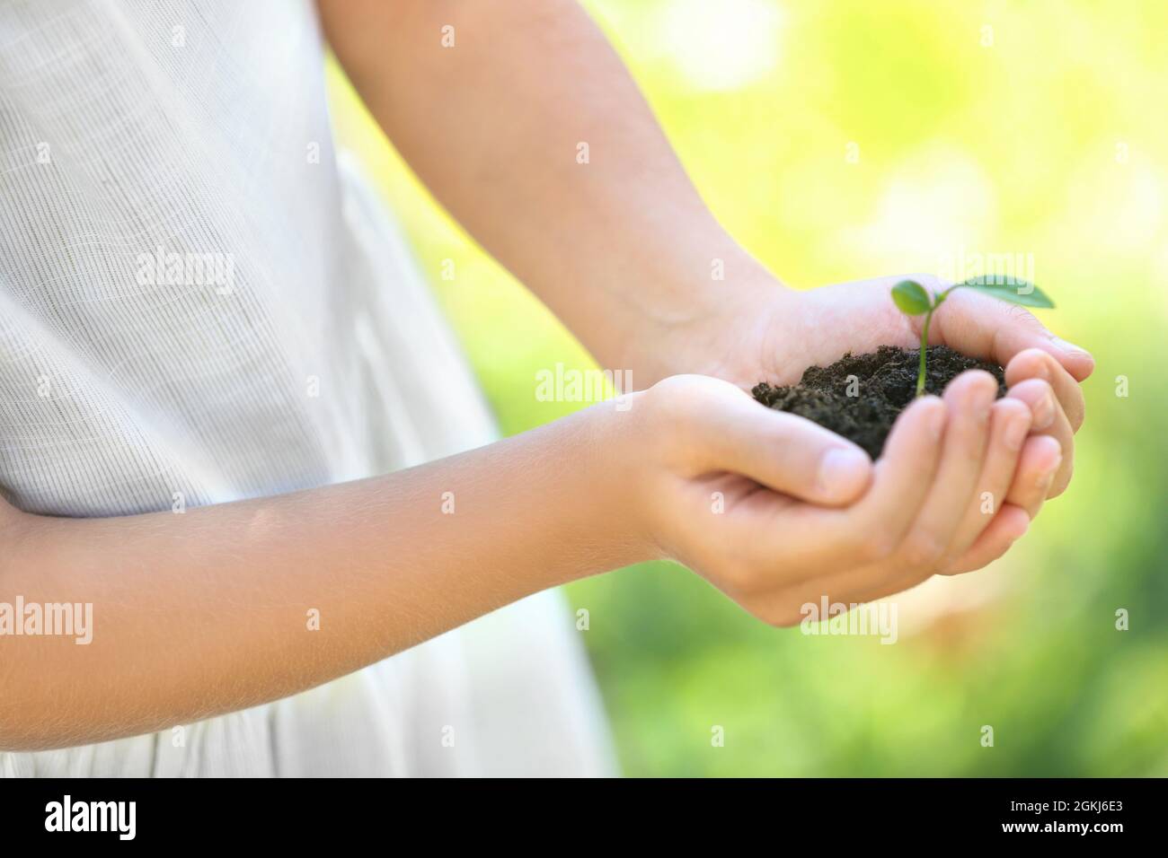 Cute girl holding green plant outdoors, close up Stock Photo - Alamy