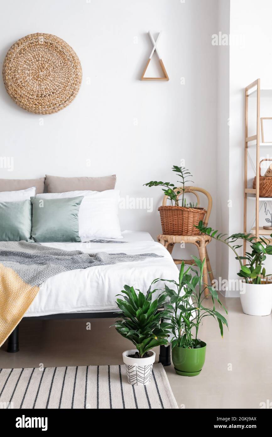 Interior of stylish bedroom with plants Stock Photo - Alamy