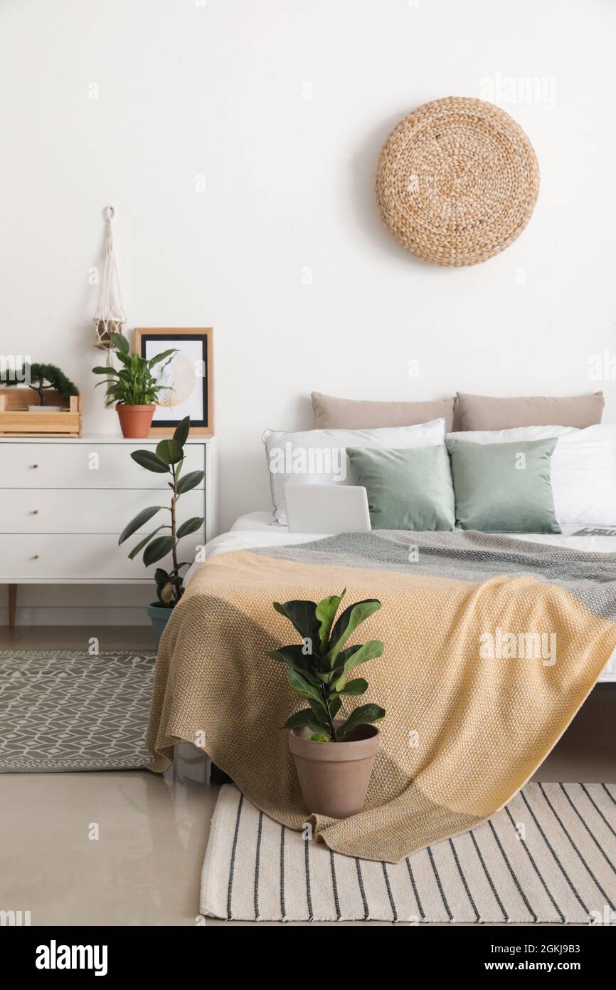 Interior of stylish bedroom with plants Stock Photo - Alamy