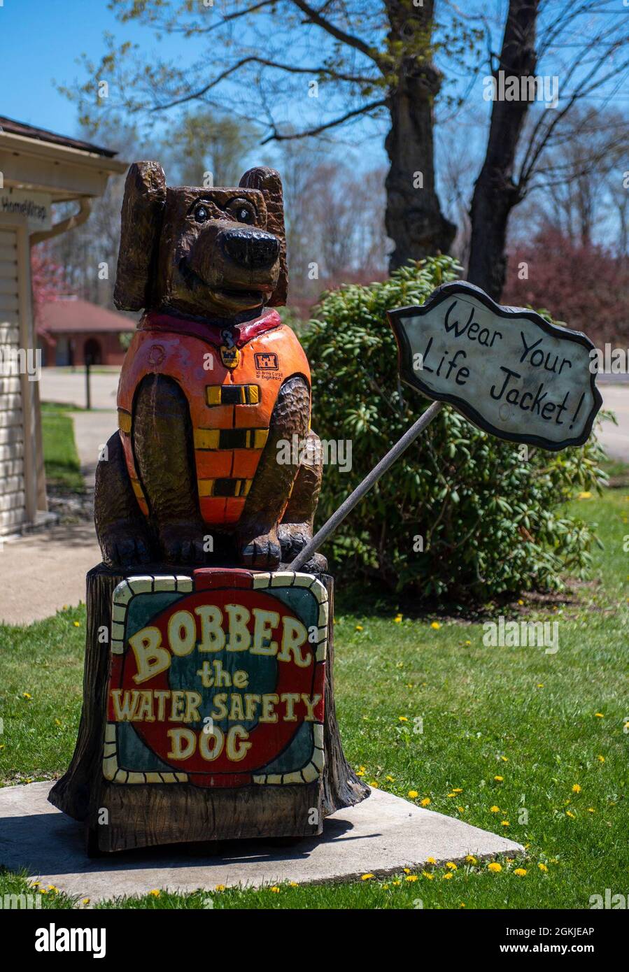 Bobber The Water Safety Dognull