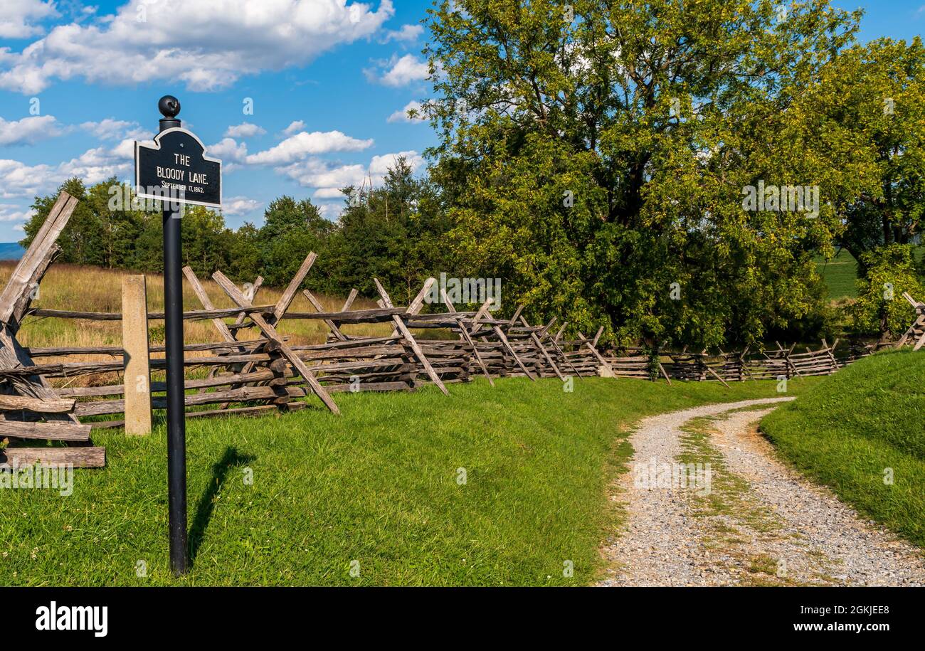 The Bloody Lane at Antietam National Battlefield, an area which saw heavy fighting during the battle in Sharpsburg, Maryland, USA Stock Photo