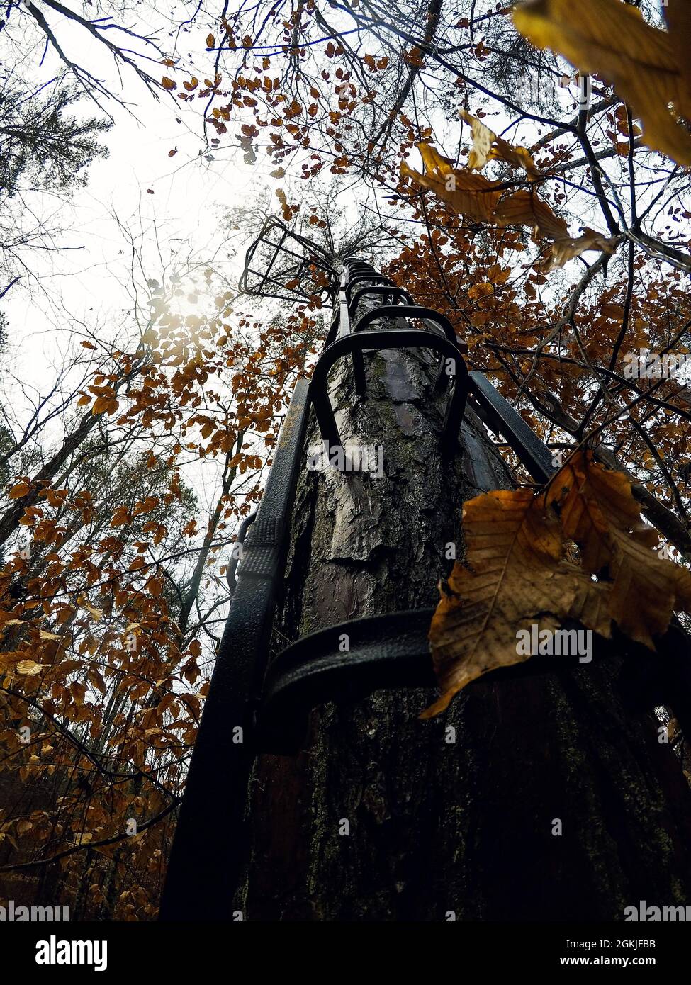 Fall hunt hires stock photography and images Alamy