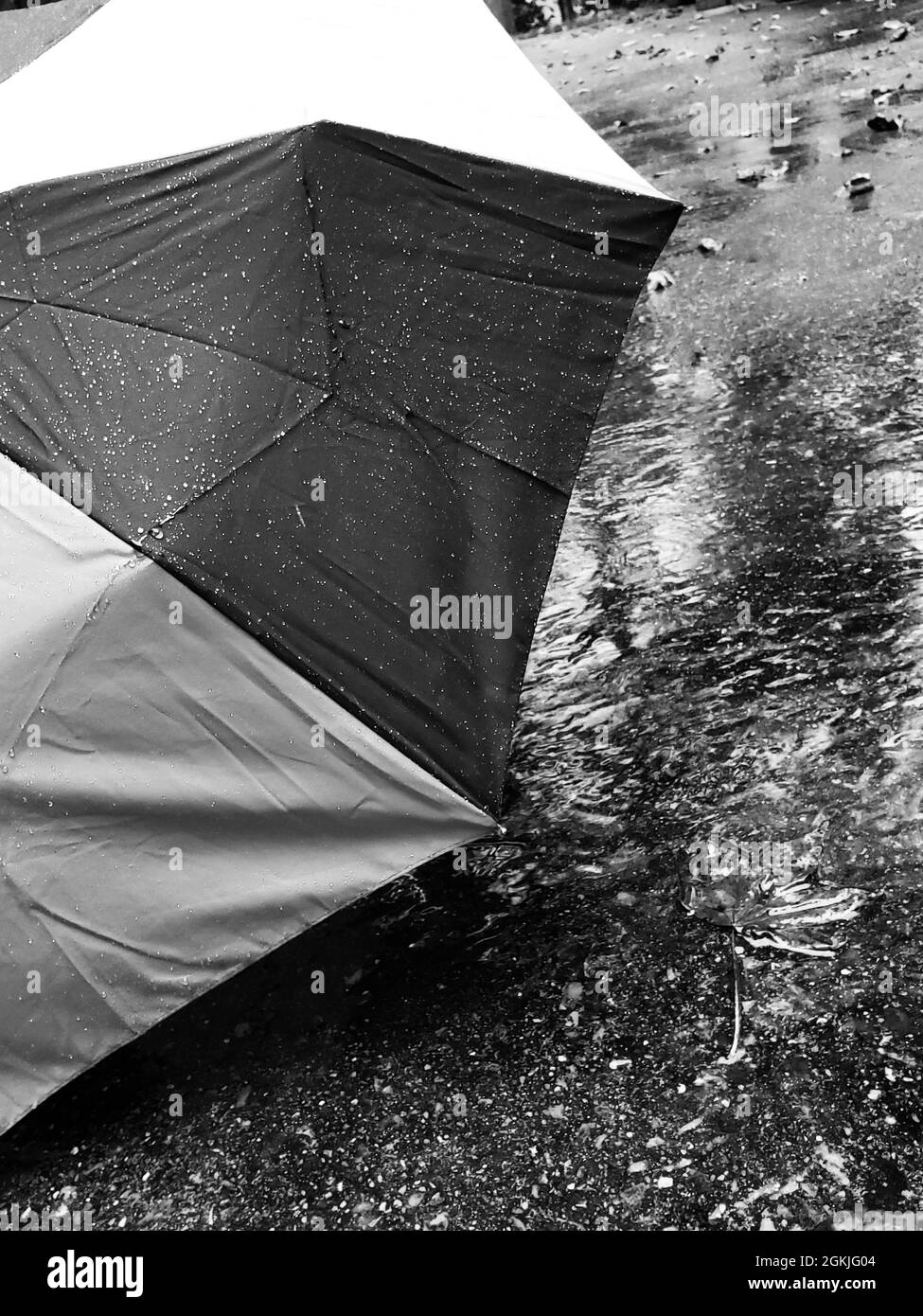 A black and white of an umbrella in the rain Stock Photo - Alamy