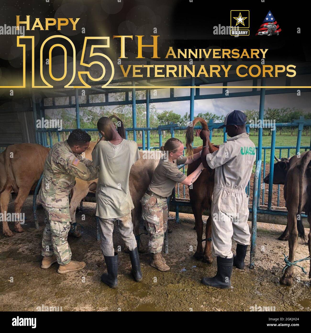 Happy birthday to the veterinarians in highly engaged units in agricultural and public health operations around the globe as they are a highly valuable military asset to our nation! Stock Photo