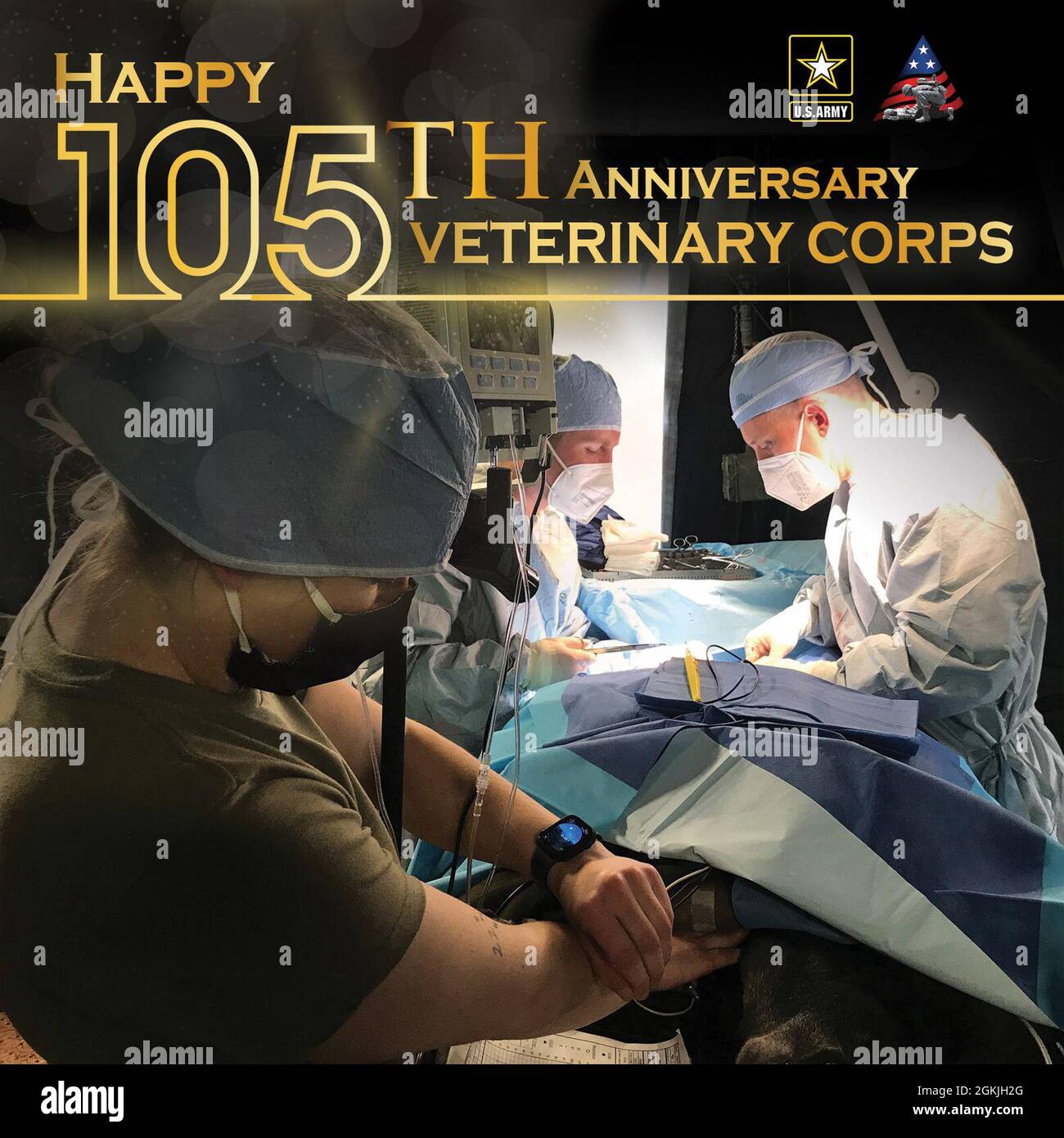 Did you know that there are five . Army Veterinary Corps specialties including Veterinary Preventive Medicine, Laboratory Animal Medicine, Veterinary Pathology, Comparative Medicine and Clinical Medicine? Happy 105th birthday to the Corps Did you know that there are five . Army Veterinary Corps specialties including Veterinary Preventive Medicine, Laboratory Animal Medicine, Veterinary Pathology, Comparative Medicine and Clinical Medicine? Happy 105th birthday to the Corps