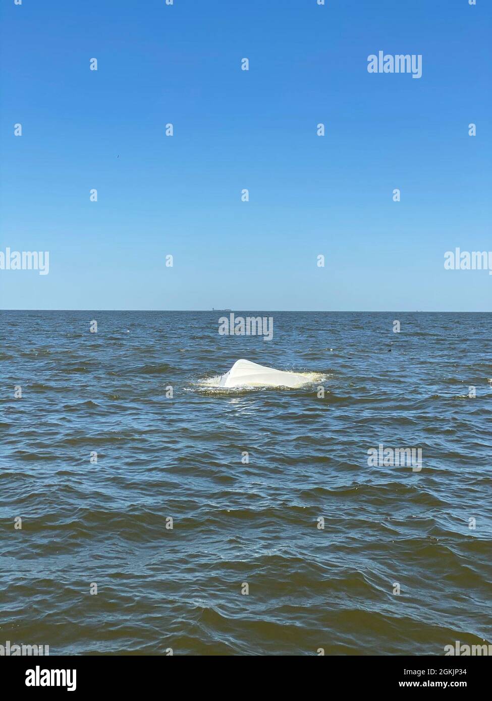 A capsized 21foot pleasure craft floats near the Port O'Connor small