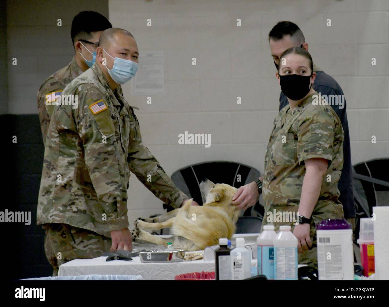 Wartime communities hires stock photography and images Alamy