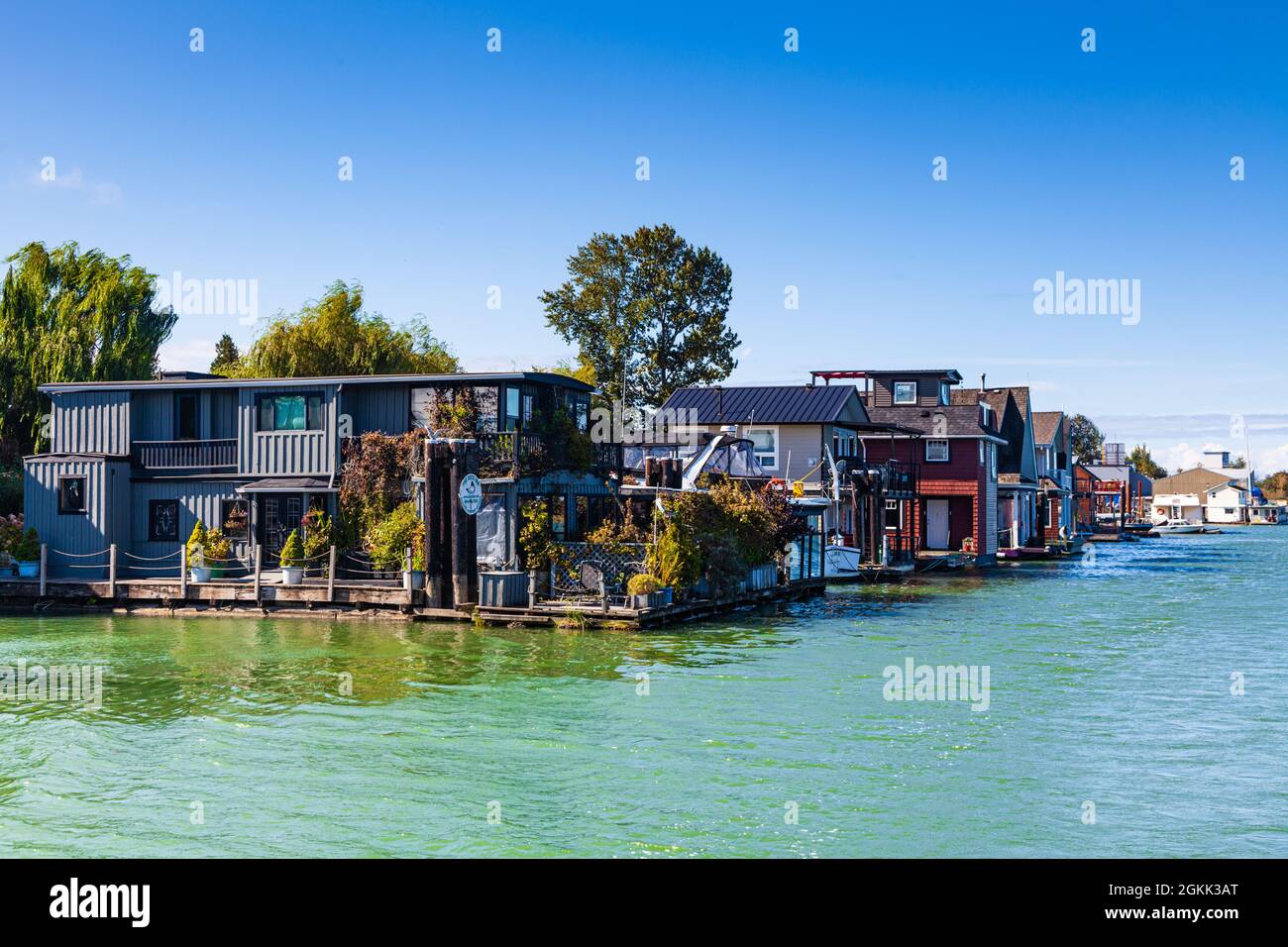 Floating homes along a channel of the Fraser River delta near Ladner British Columbia Canada Stock Photo