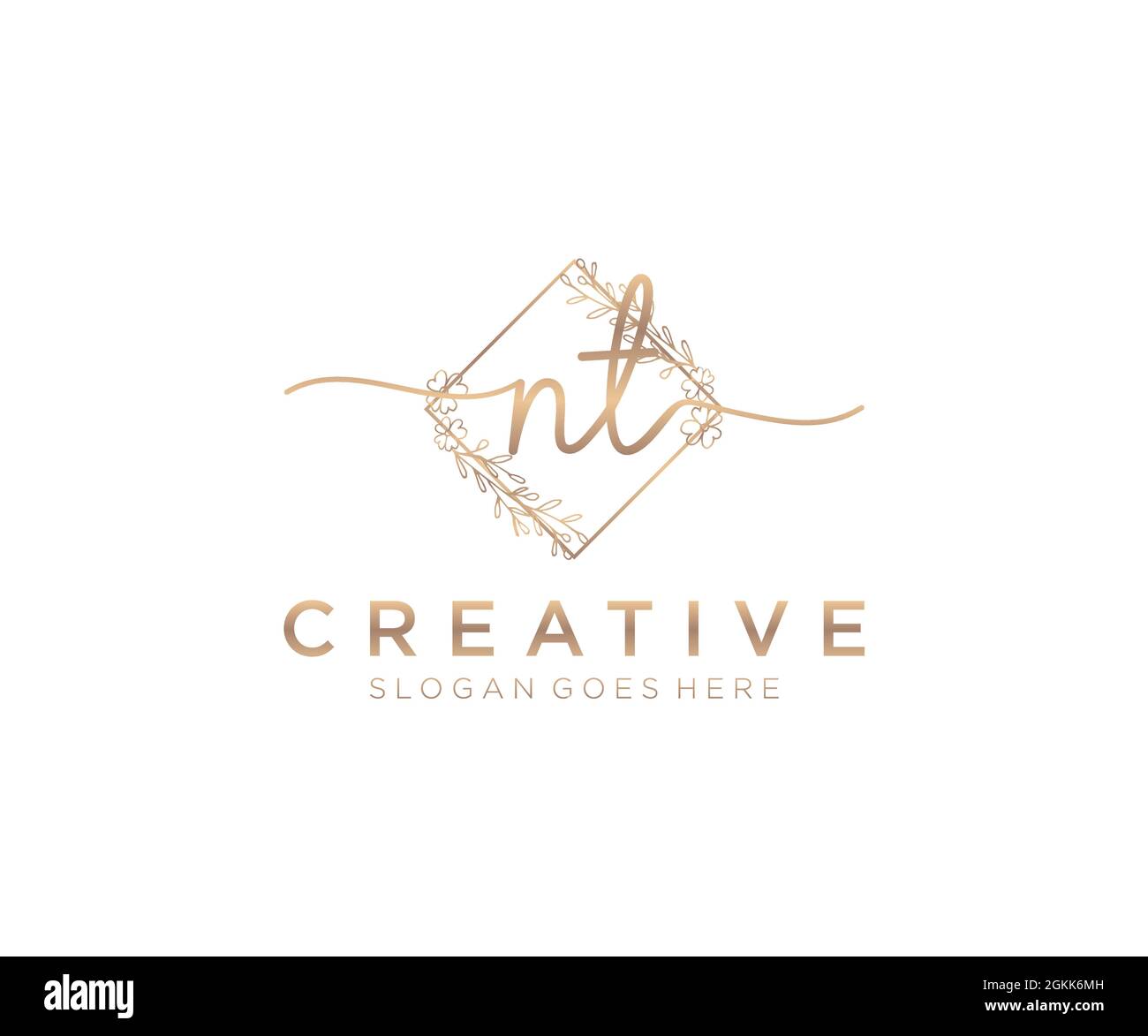 NT Feminine logo beauty monogram and elegant logo design, handwriting ...