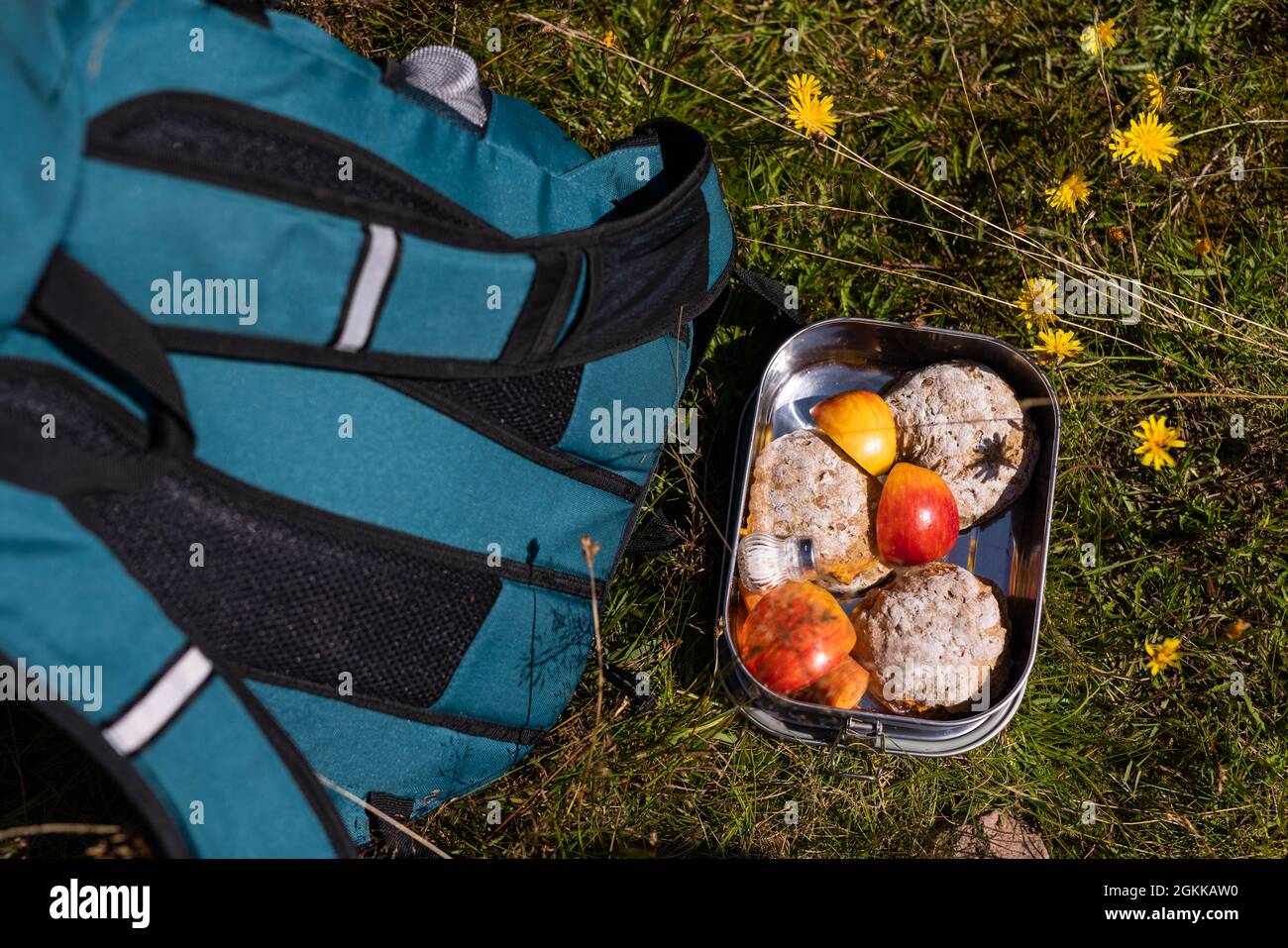 Baiersbronn, Germany. 25th Aug, 2021. A lunch box with bread rolls and apple pieces stands next to a backpack on a meadow. Children aged five to twelve can be Junior Rangers in the National Park. In small groups, they learn the basics about nature and animals, and later on they learn about kology, why the national park exists, and how to use a map and compass to find their way around. Credit: Philipp von Ditfurth/dpa/Alamy Live News Stock Photo