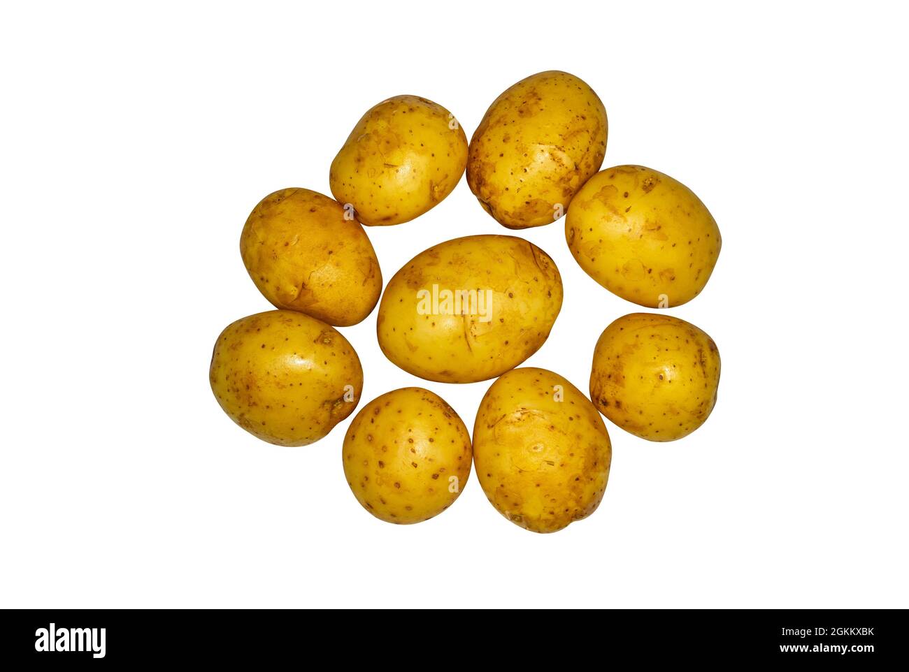 Harvest of yellow potatoes on a white background. Potato harvest