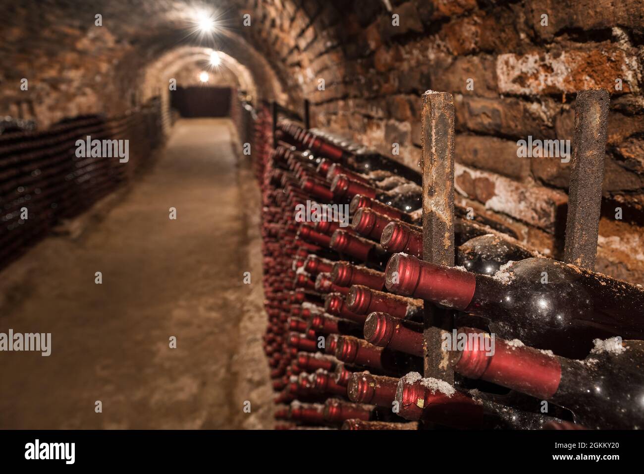 Old wine bottles in rows in the wine cellar Stock Photo Alamy