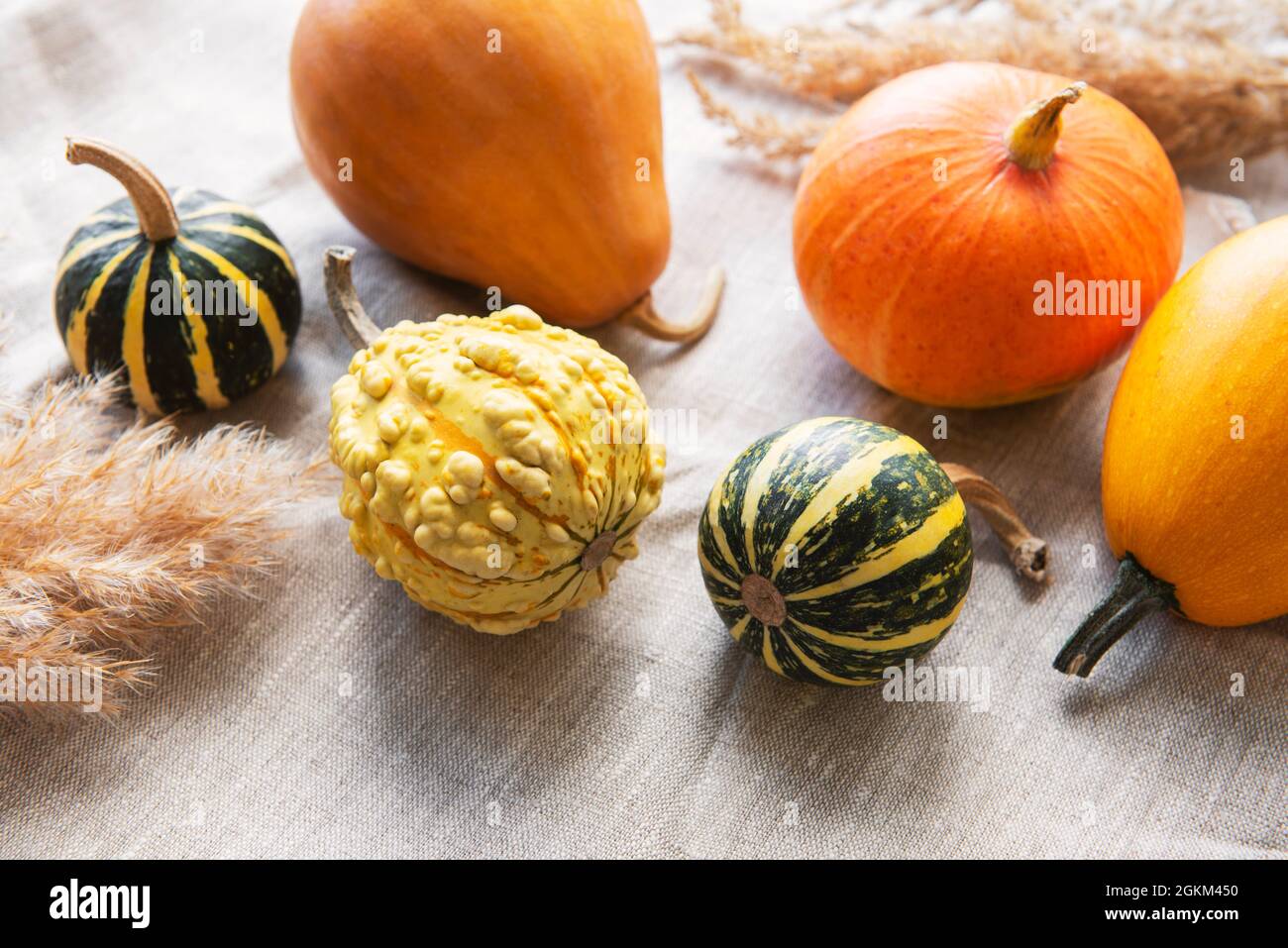 A rustic autumn still life with pumpkins on textile background Stock ...
