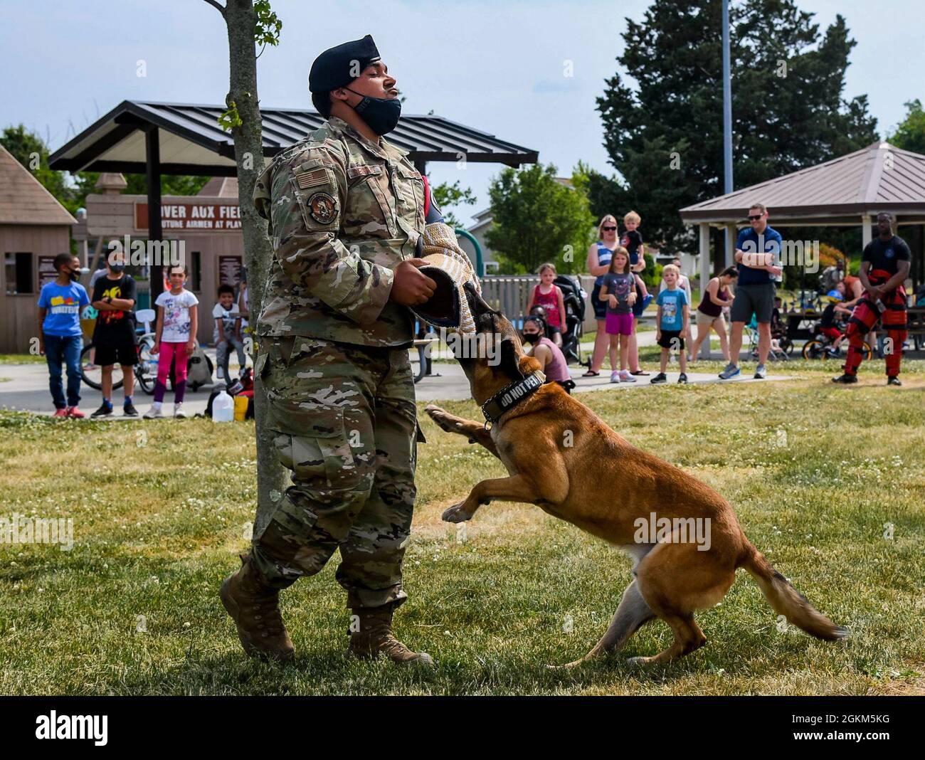 Senior Airman Mark Serrano, 436th Security Forces Squadron Military Working Dog handler, demonstrates the abilities of MWD Johny during the Bicycle Rodeo at Dover Air Force Base, Delaware, May 22, 2021. The Bicycle Rodeo offered a variety of attractions such as a bicycle obstacle course, Combat Arms Training and Maintenance weapon show and tell, 436th SFS Ravens demonstration and a free raffle that provided each attending child an opportunity to win bikes, skateboards and helmets. Stock Photo