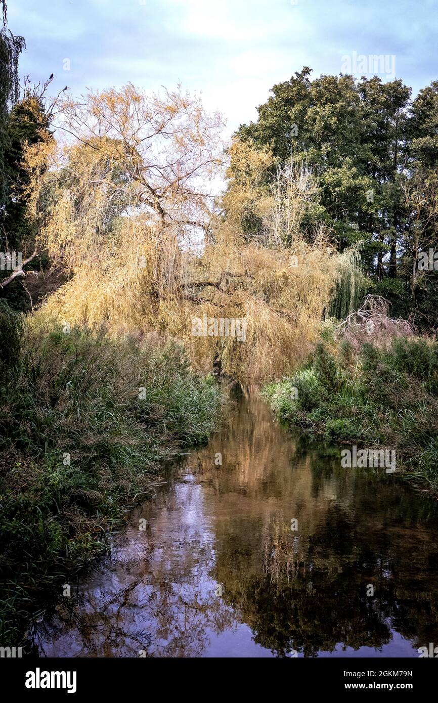 River Nar at West Acre Norfolk Uk Stock Photo