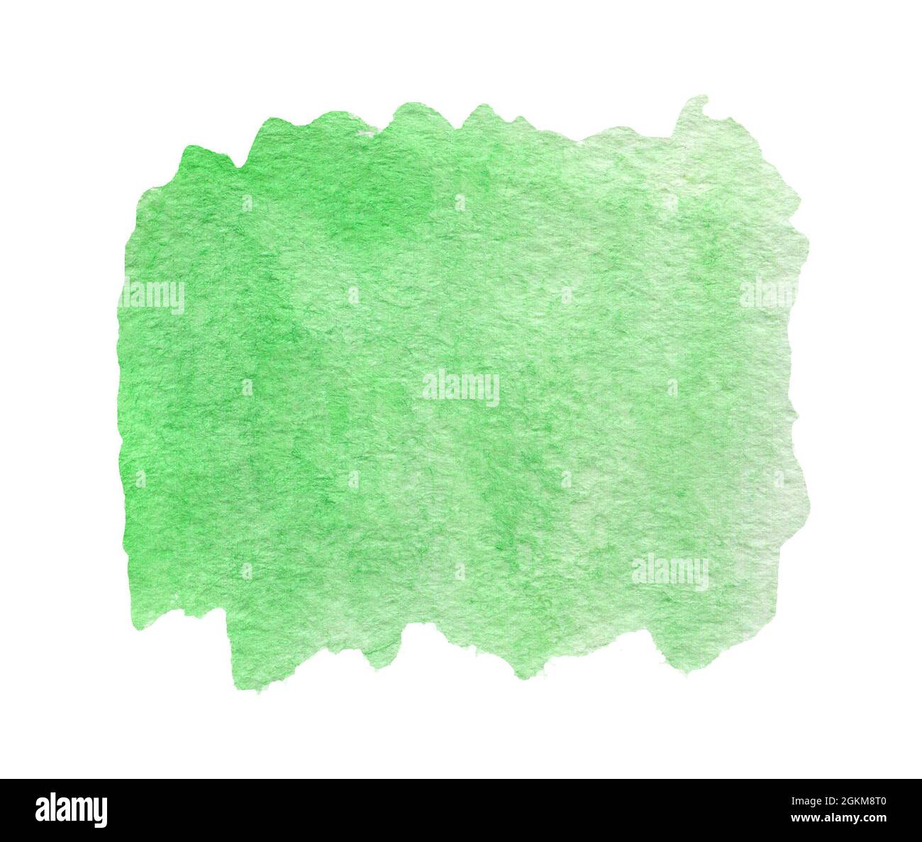 Green watercolor abstract background or texture isolated on white Stock ...