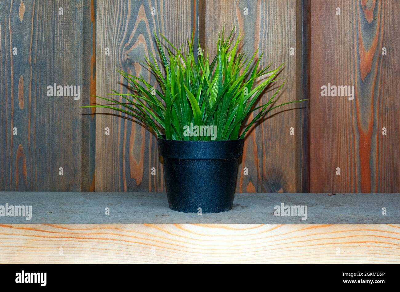 artifical grass in pot on desk. Fake grass decor Stock Photo