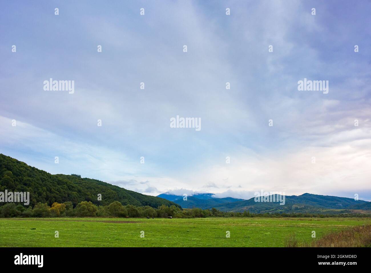 rural field in mountains at dawn. cloudy early autumn weather Stock Photo