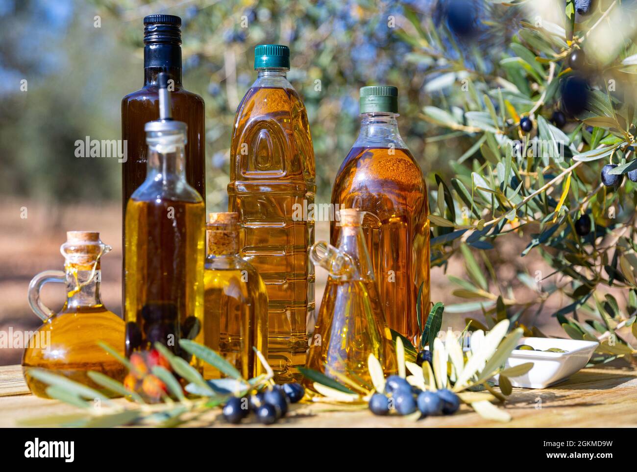 Set of bottles with olive oil on background with olive tree Stock Photo