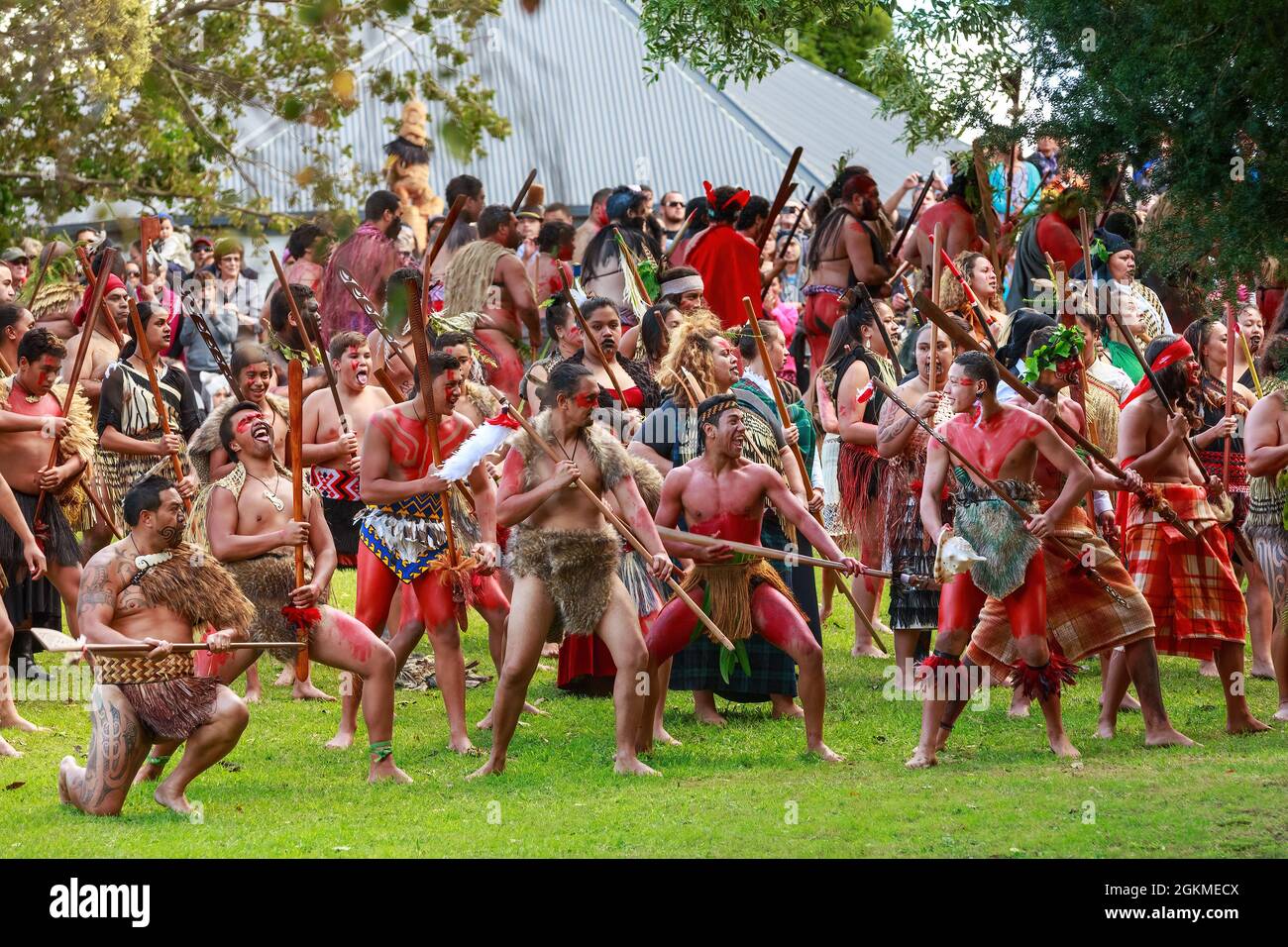 Maori people dressed as 19th century warriors perform a hake at the 150th anniversary commemoration of the 1864 Battle of Gate Pa Stock Photo - Alamy