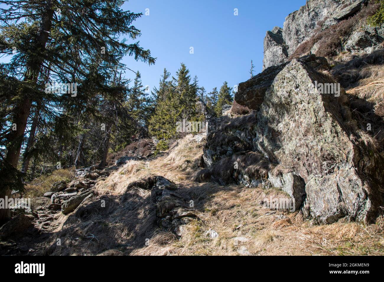 Am Grossen Osser Stock Photo