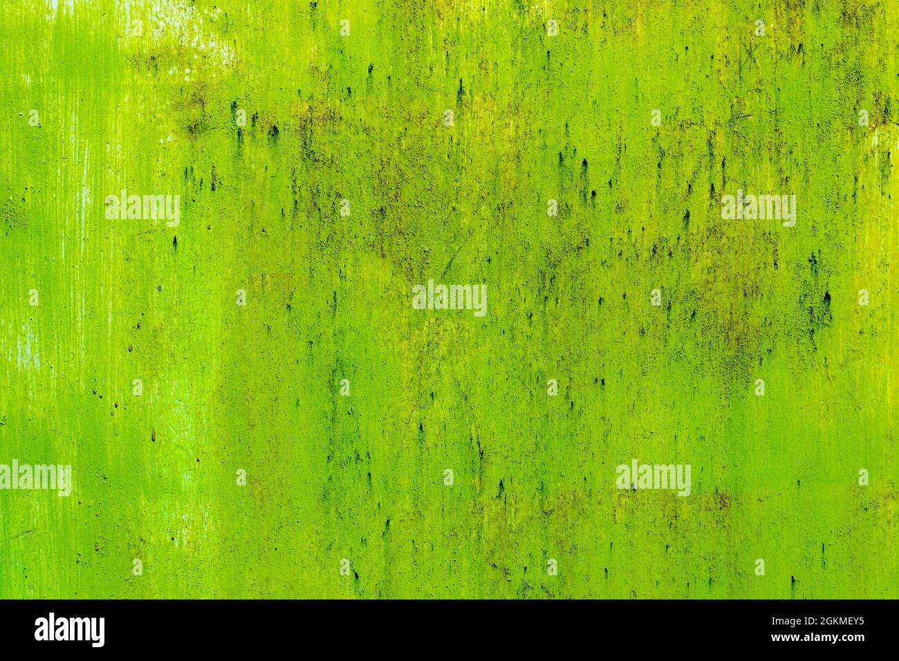 Green concrete painted retro wall texture background Stock Photo
