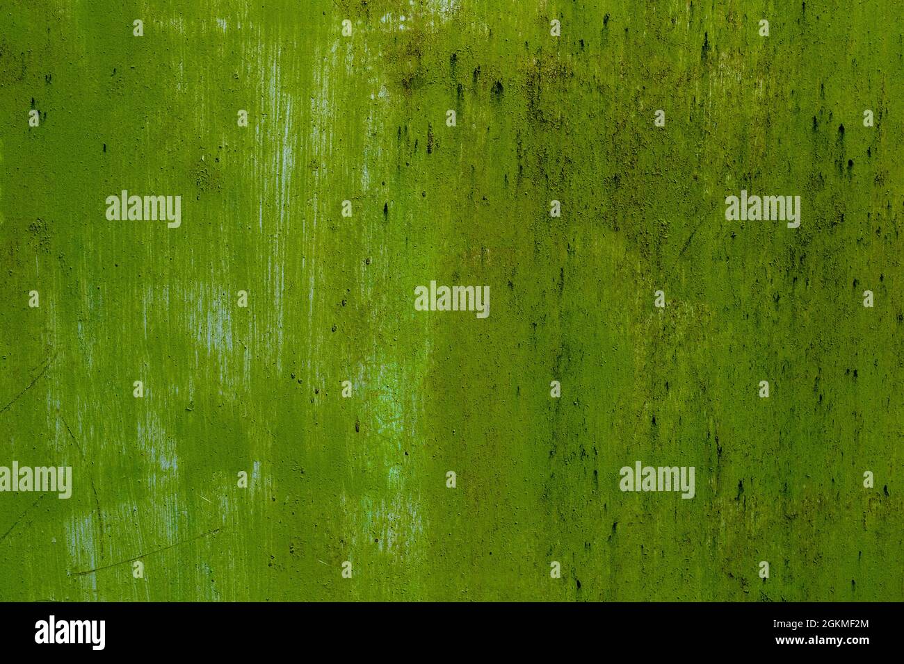 Green concrete painted retro wall texture background Stock Photo