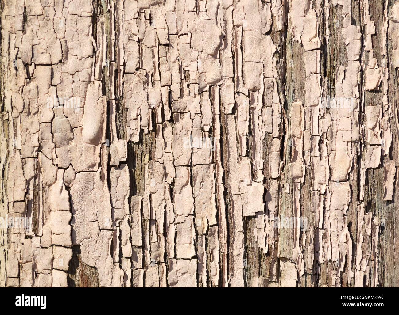 Old wooden texture with peeling brown paint. Background of old painted wood fragment Stock Photo