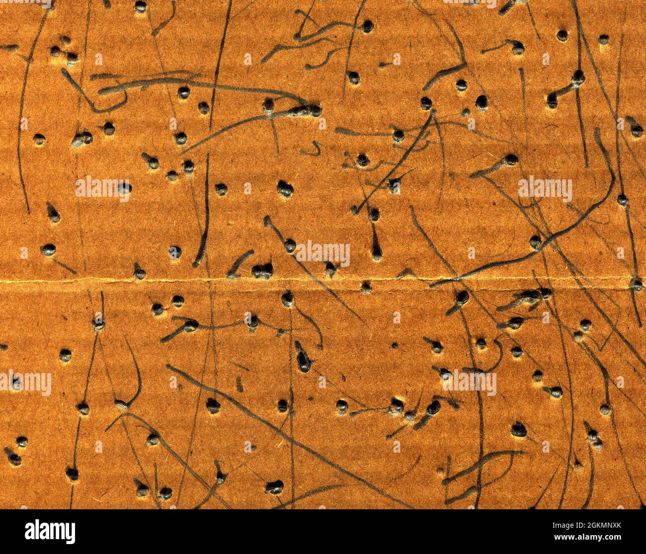 Old paper cardboard beige texture or background Stock Photo